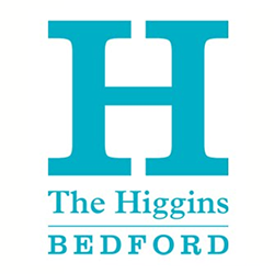 The Higgins